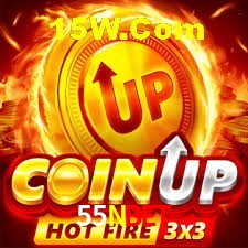 Experiência VIP 55Nbet