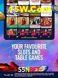 Bonus Features 55Nbet